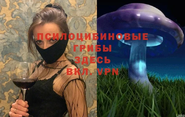 прущая мука Алзамай
