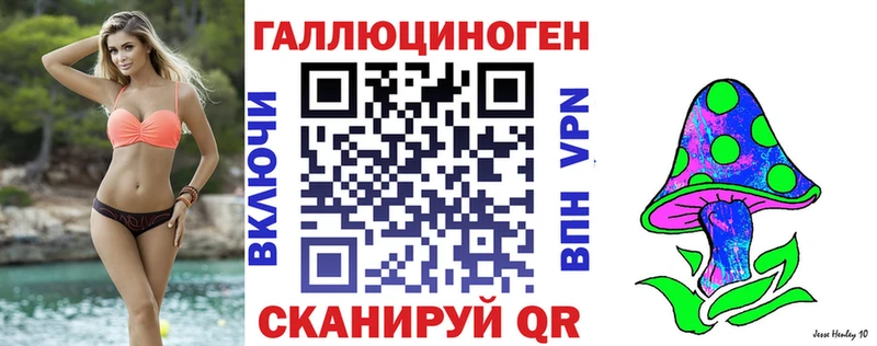 наркота  Ильский  Галлюциногенные грибы Psilocybine cubensis 